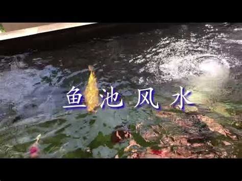 風水池功能|【風水 池】揭密風水池的奧秘，打造財運亨通之家！